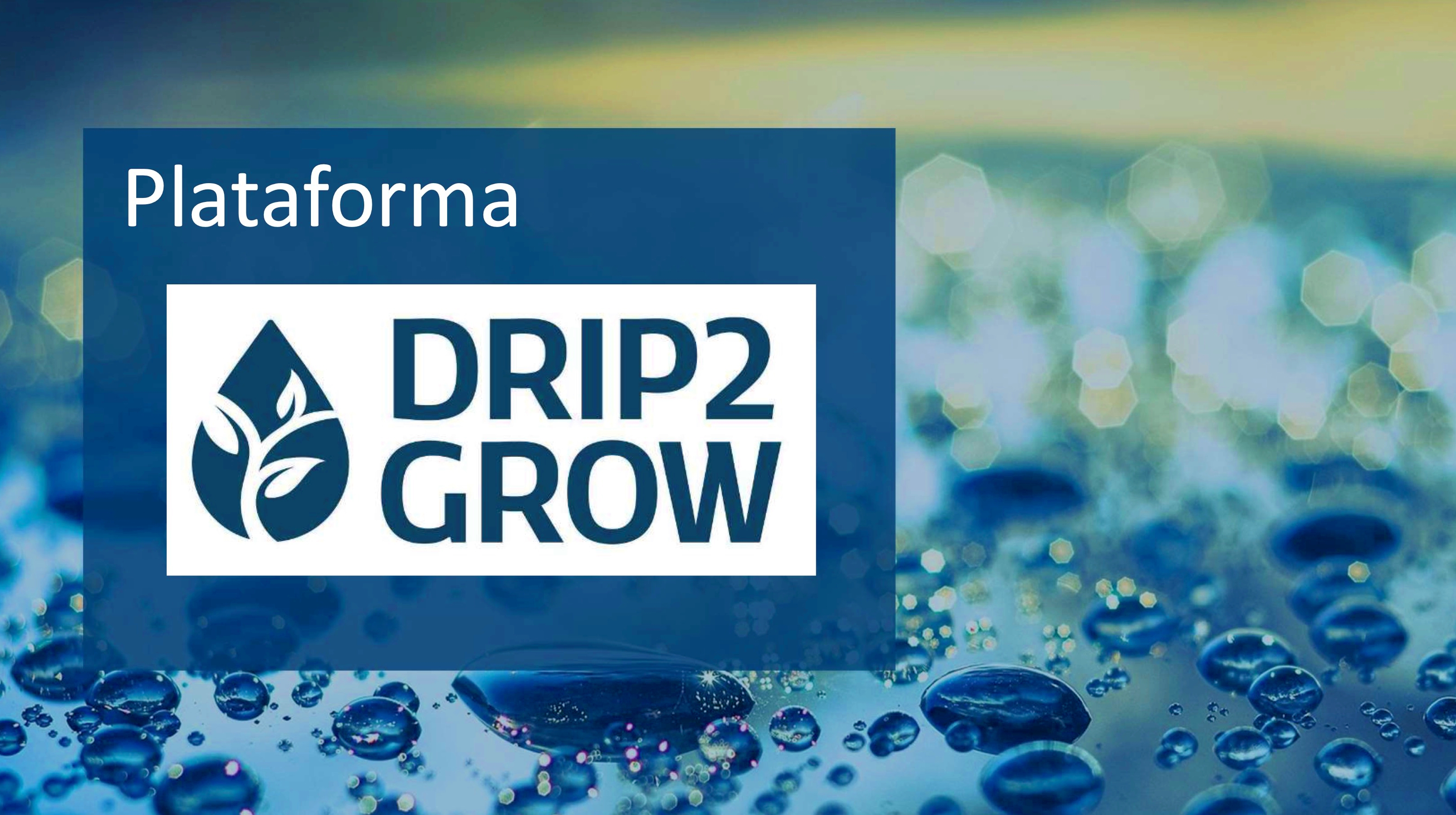 DRIP2GROW permite ahorros de agua de hasta el 30% en cultivos hortcolas