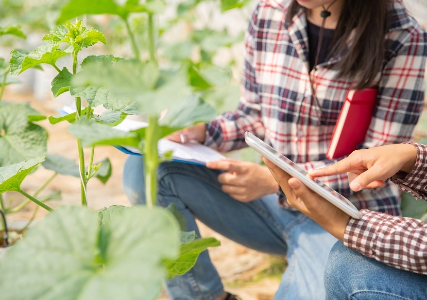 Espaa participa en el mayor proyecto europeo de IA en el sector agroalimentario