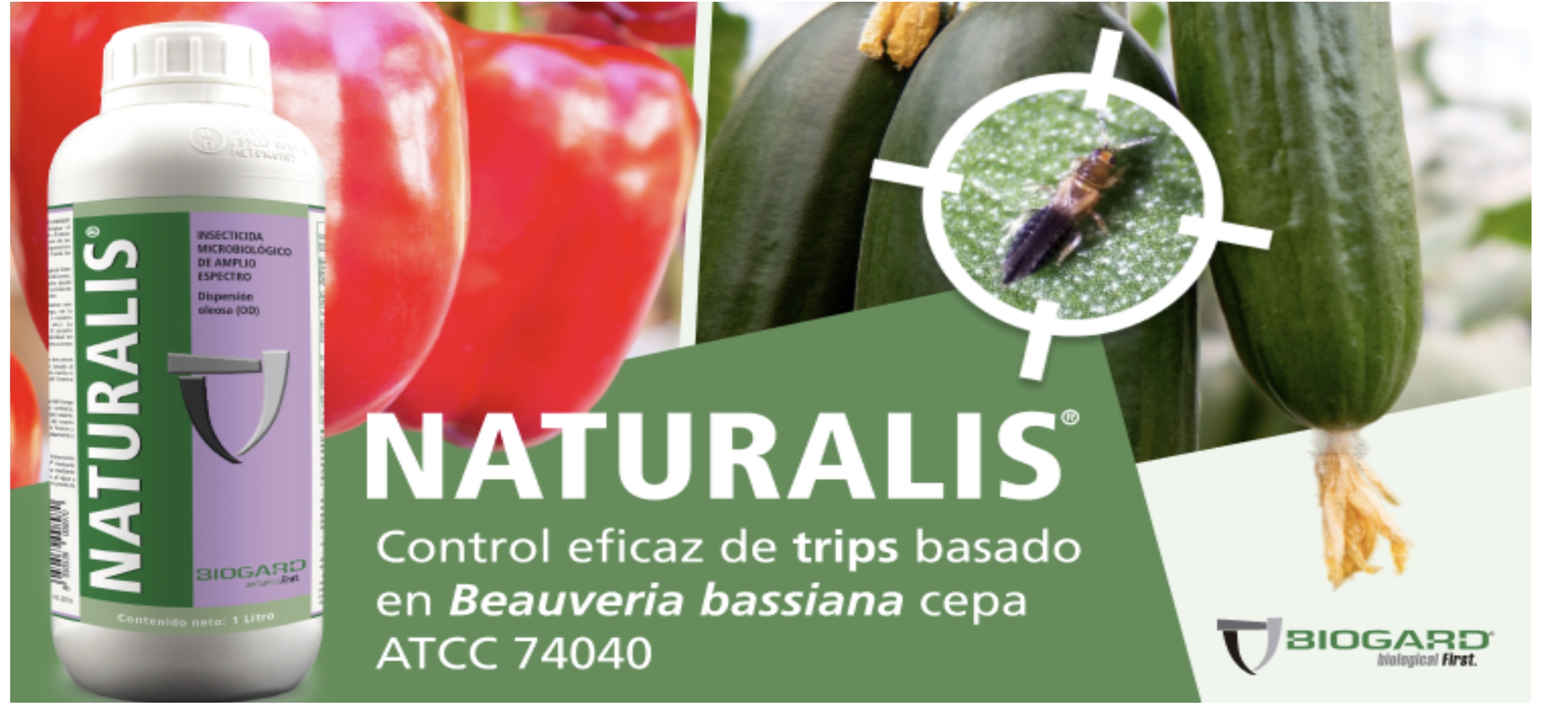 Naturalis, la solucin eficaz para controlar trips de Biogard