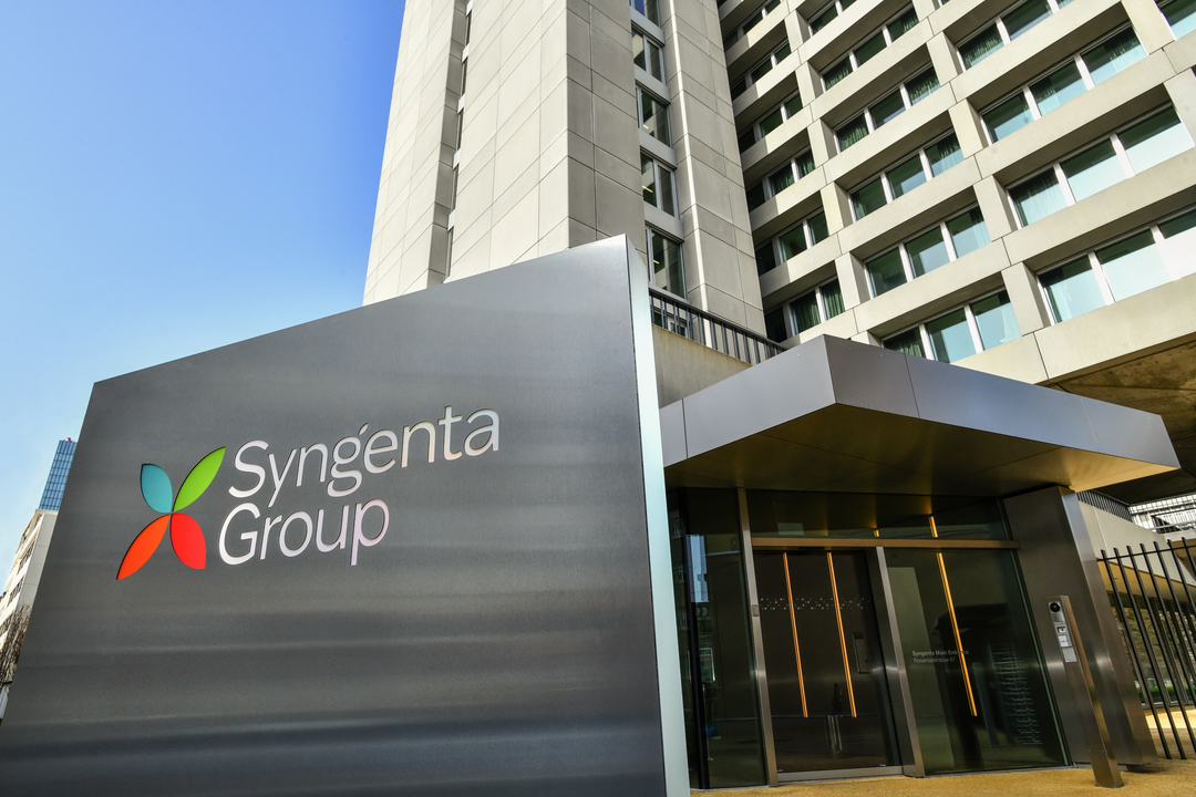 Koipesol Semillas y Syngenta se consolidan como una sola fuerza