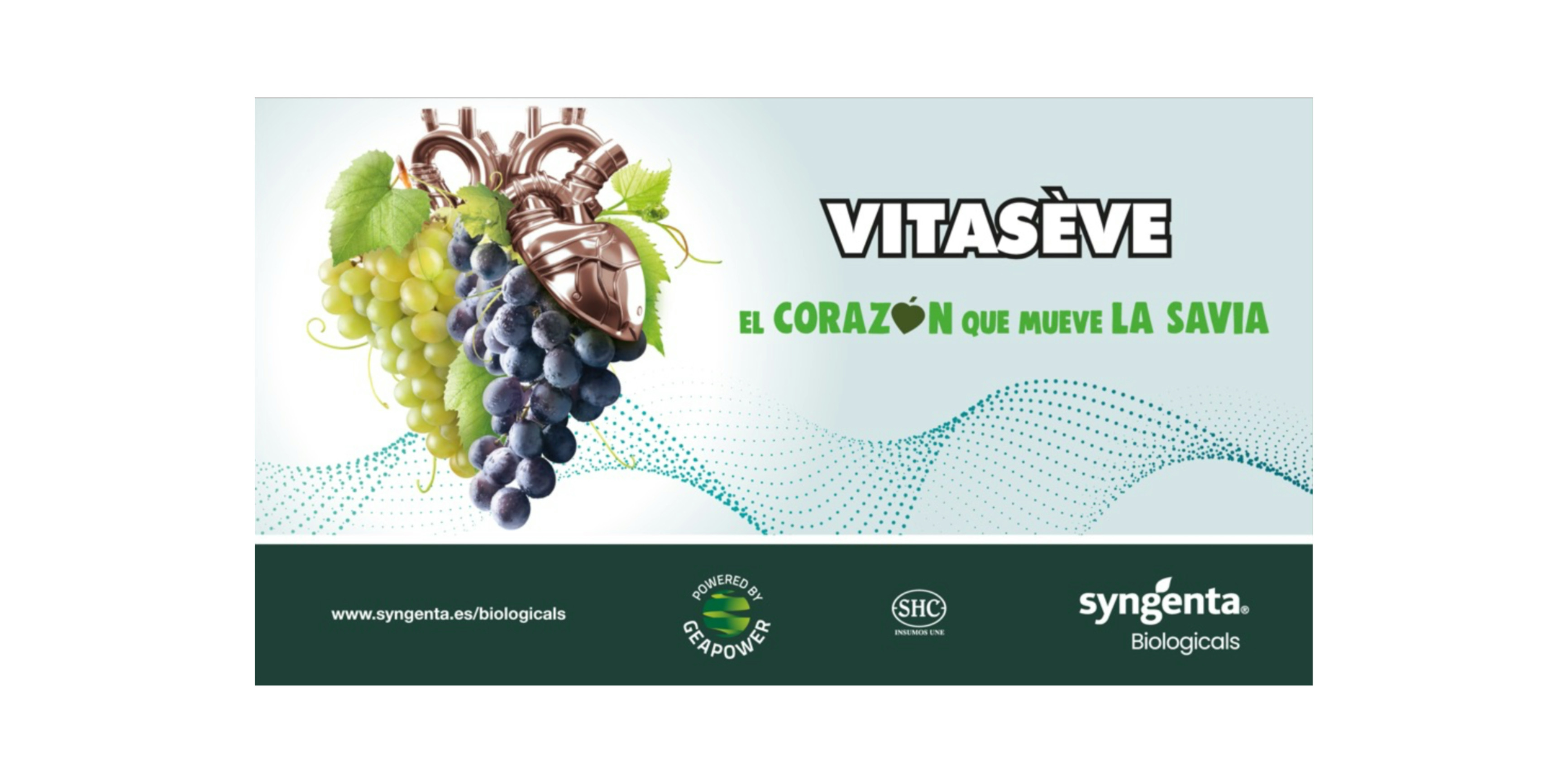 Syngenta presenta su solucin de bioestimulacin VITASVE 