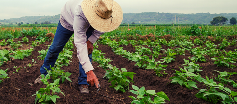 El sector agrario no puede soportar ms subidas del SMI