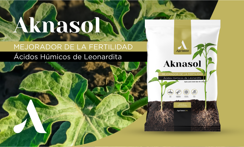 Aknasol: La solucin clave para suelos frtiles y cultivos ms vigorosos