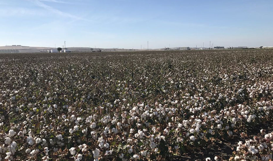 18,4 MILL de euros en ayudas de la Junta para la contratacin de seguros agrarios 